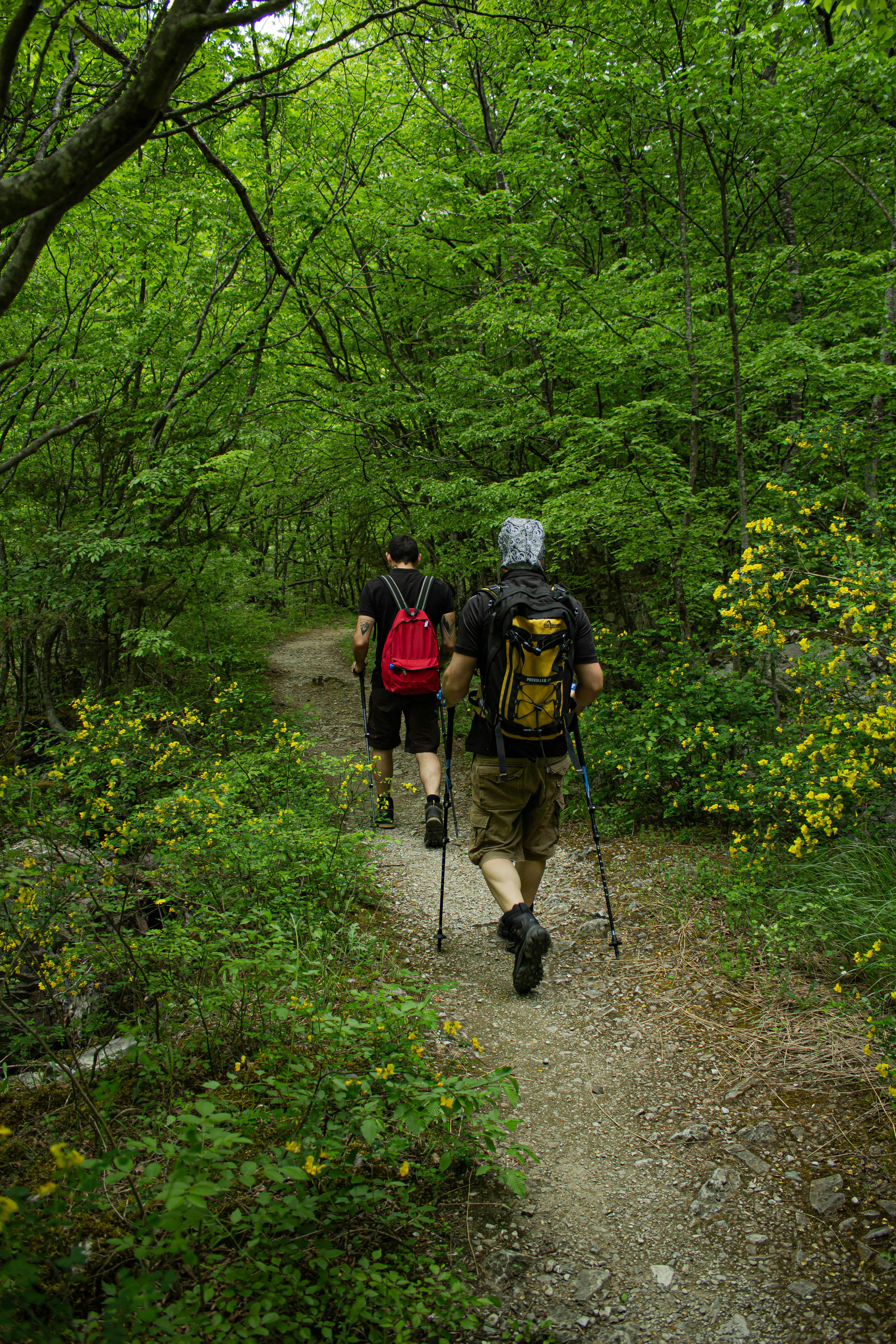 Trekking Image 1