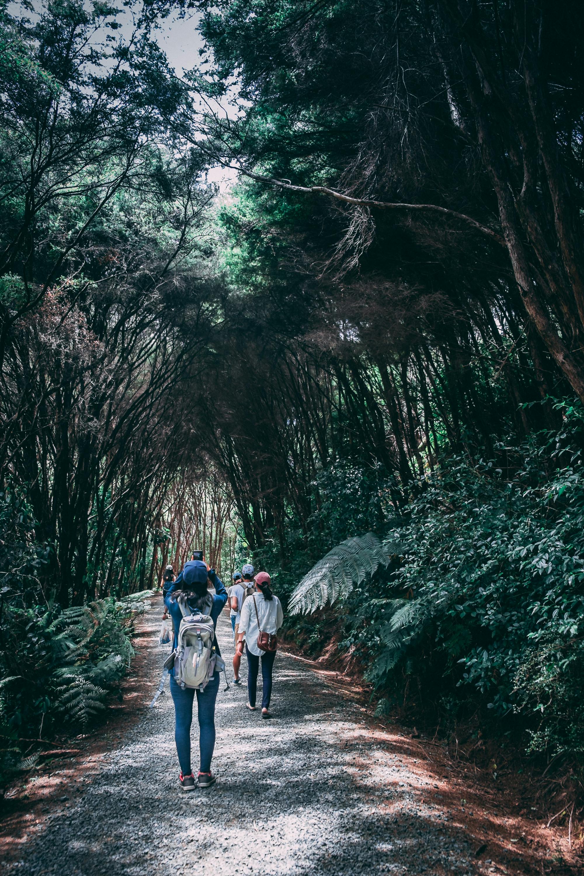 Trekking Image 2
